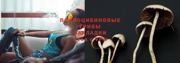 прущий лед Болохово