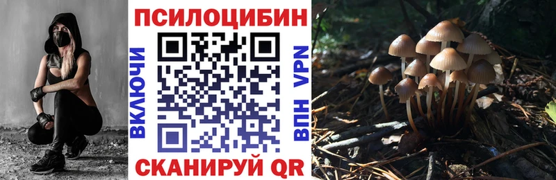 Псилоцибиновые грибы Psilocybine cubensis  как найти закладки  мега маркетплейс  Белогорск 