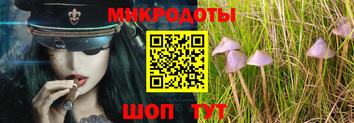 Псилоцибиновые грибы Psilocybine cubensis Белогорск